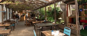 angies kitchen tuin