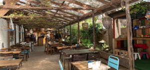 angies kitchen tuin