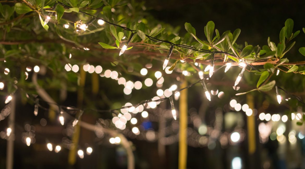Borrelen in onze wintertuin!