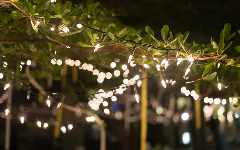 Borrelen in onze wintertuin!